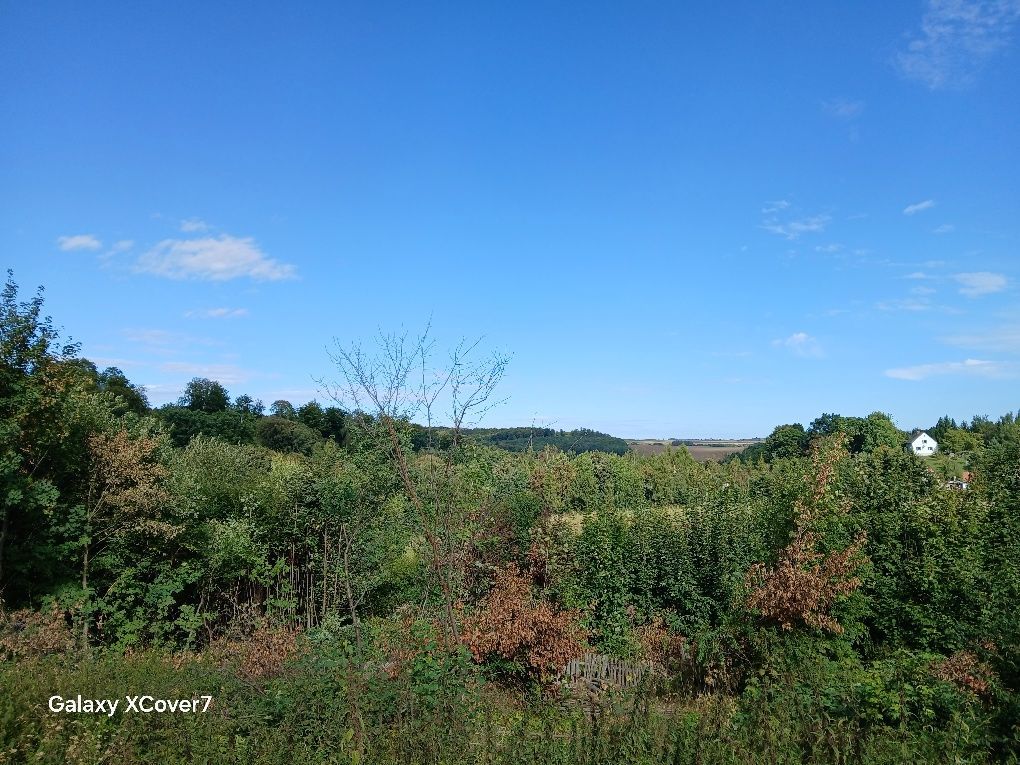 Działka Muszkowice. Zdjęcie 3