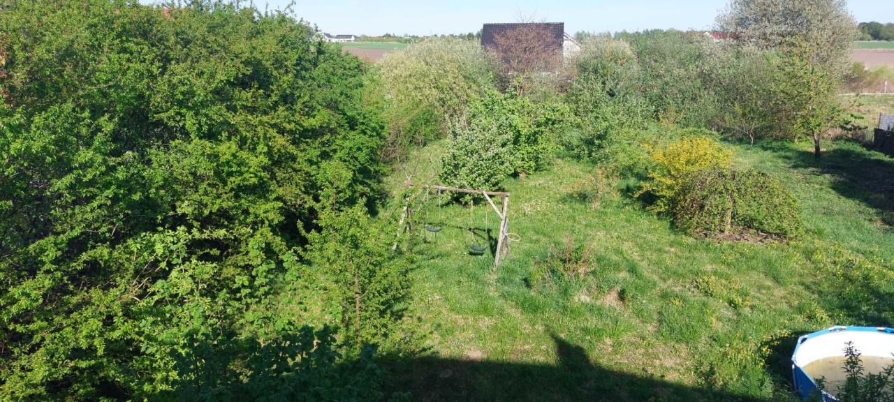 Działka budowlana Szewce. Zdjęcie 2
