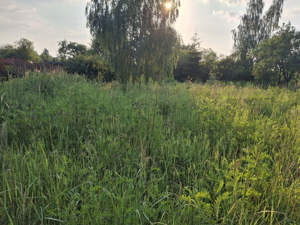 Działka rod Abramowice Prywatne. Zdjęcie 8
