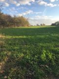 Działka rolno-budowlana Godów. Zdjęcie 3