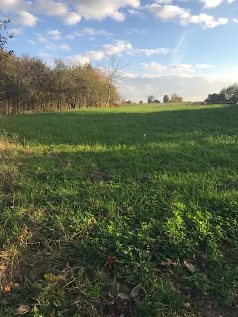 Działka rolno-budowlana Godów. Zdjęcie 4