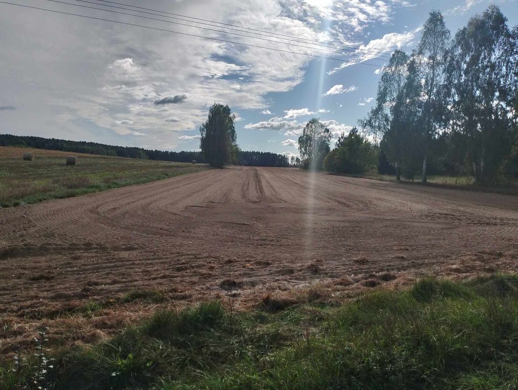 Działka siedliskowa Poniatowicze. Zdjęcie 2