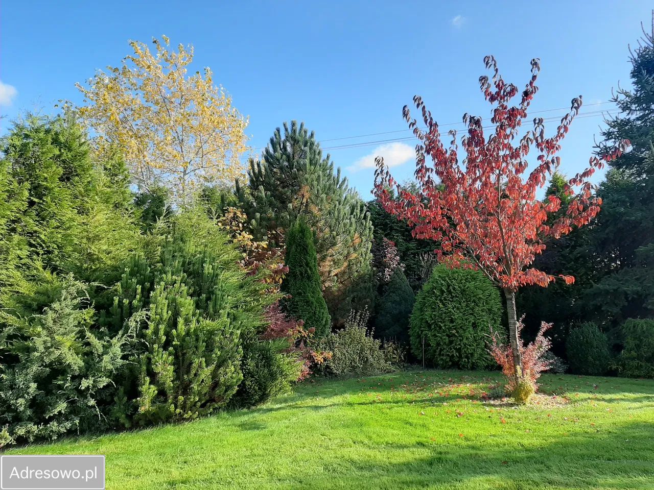 Działka budowlana Łąck, ul. Miodowa. Zdjęcie 3