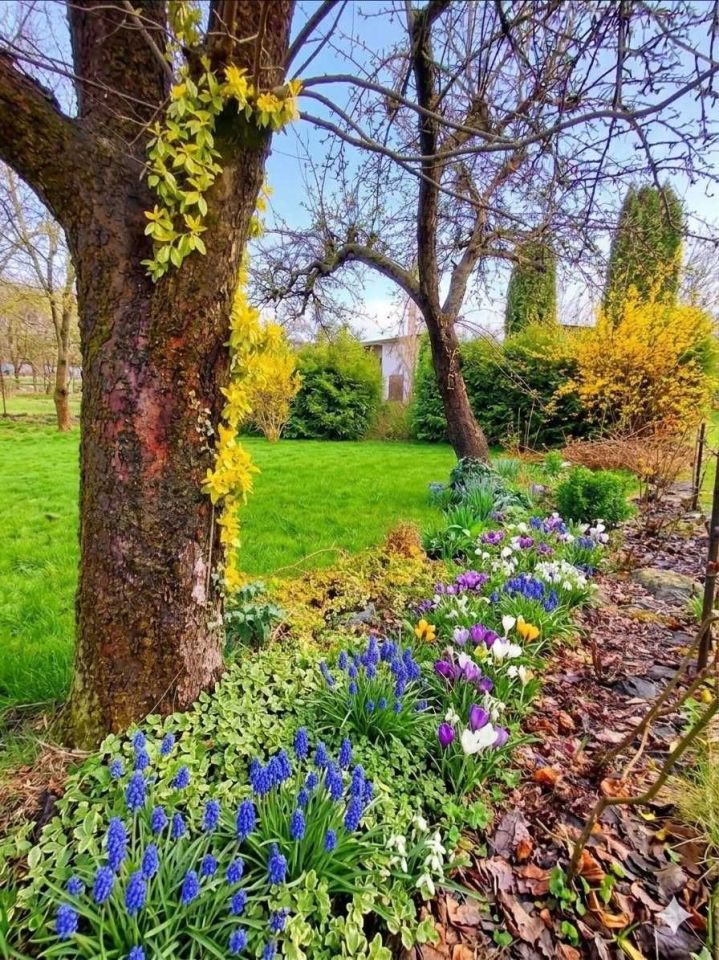 Działka rod Puławy. Zdjęcie 4