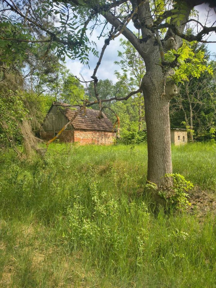 Działka siedliskowa Zabrodzie. Zdjęcie 6