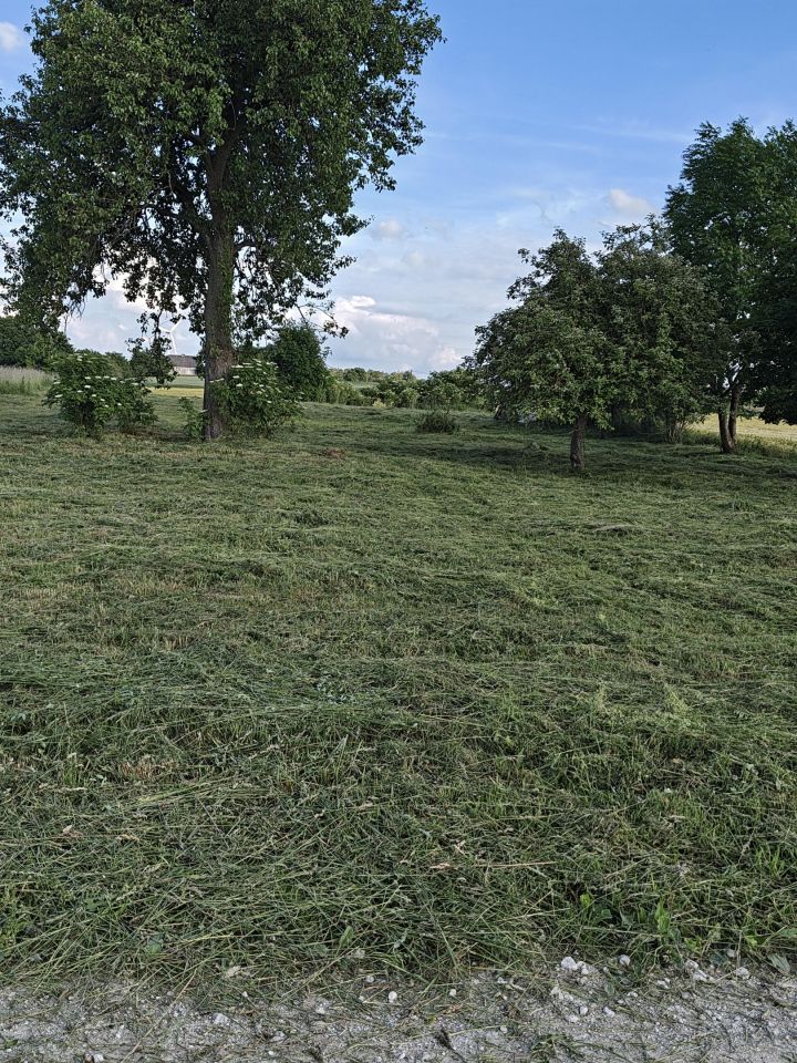 Działka na sprzedaż bez pośredników          
          
            Kruszyny Szlacheckie - Widok 3