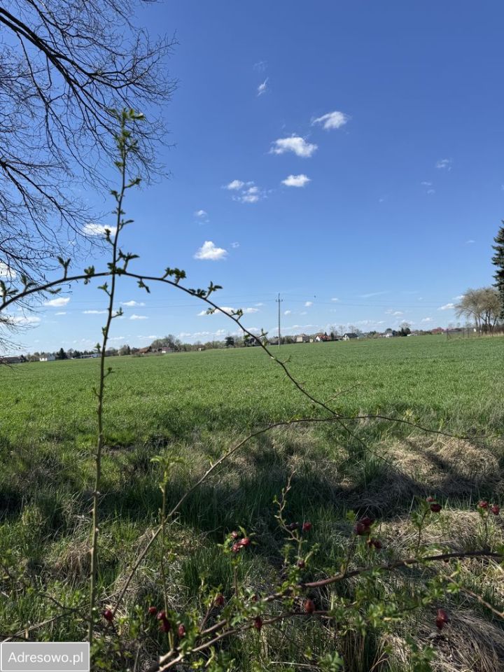 Działka rolna Wola Zabierzowska. Zdjęcie 2