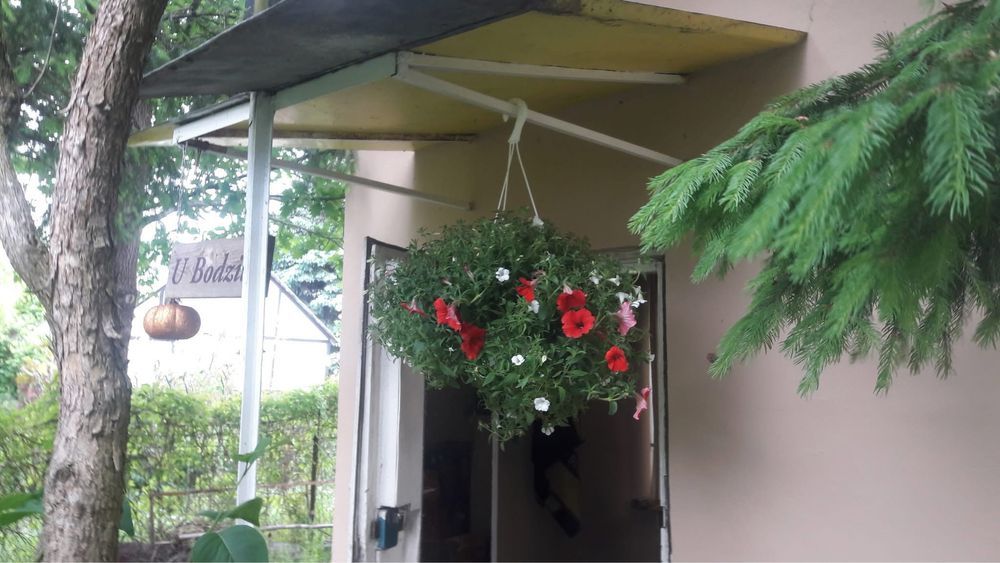 Działka rod Olsztyn Kormoran. Zdjęcie 4