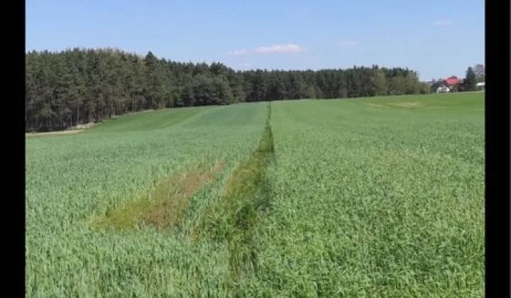 Działka rolno-budowlana Zmożna Wola