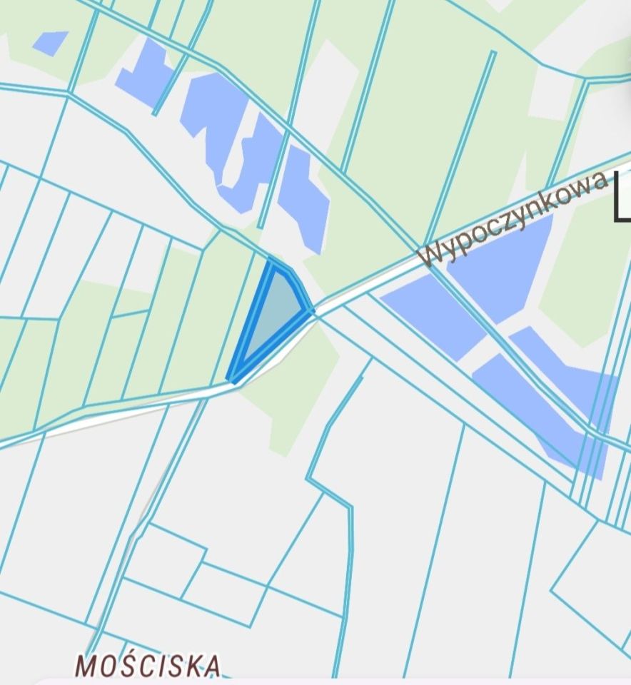 Działka leśna Błońsko. Zdjęcie 4