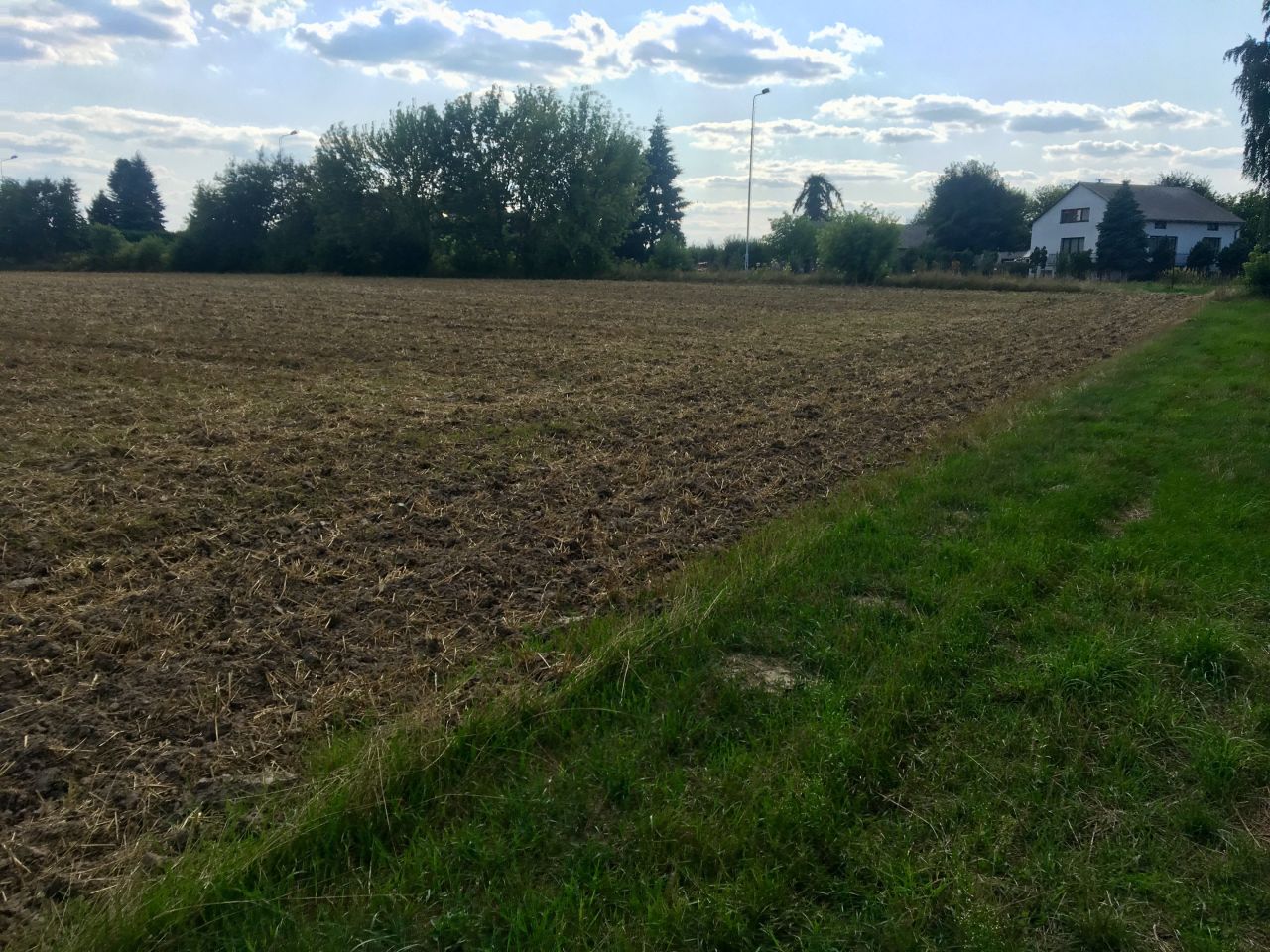 Działka siedliskowa Bratoszewice, ul. Ogrodnicza. Zdjęcie 5