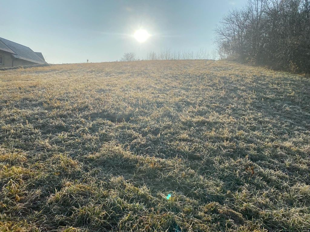 Działka rolno-budowlana Skalbmierz. Zdjęcie 7