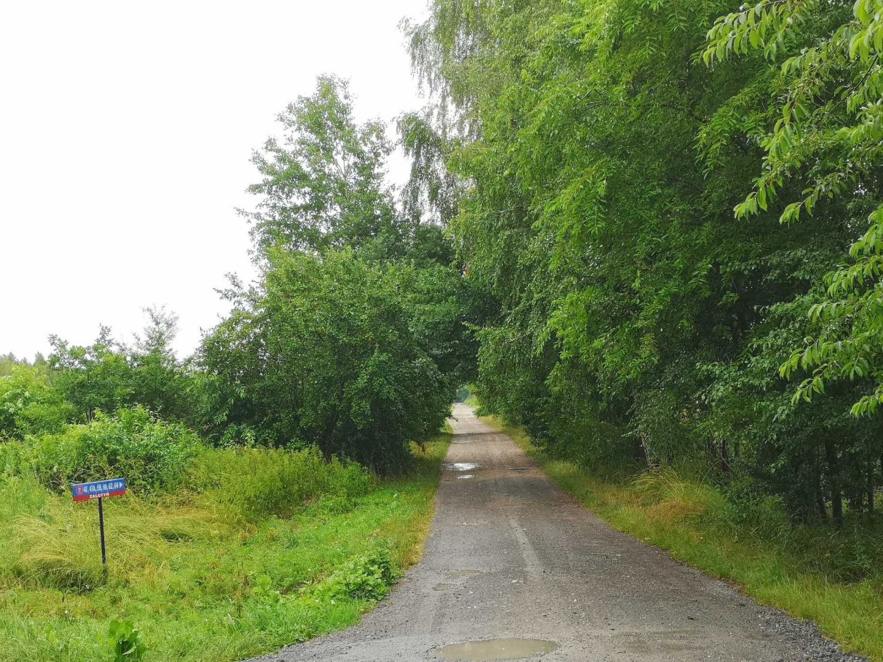 Działka rolno-budowlana Zalutyń. Zdjęcie 3