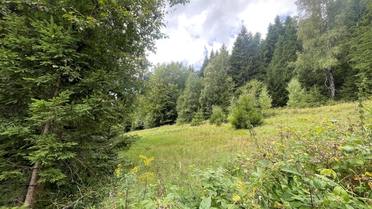 Działka rolna Krynica-Zdrój, ul. Zieleniewskiego. Zdjęcie 3