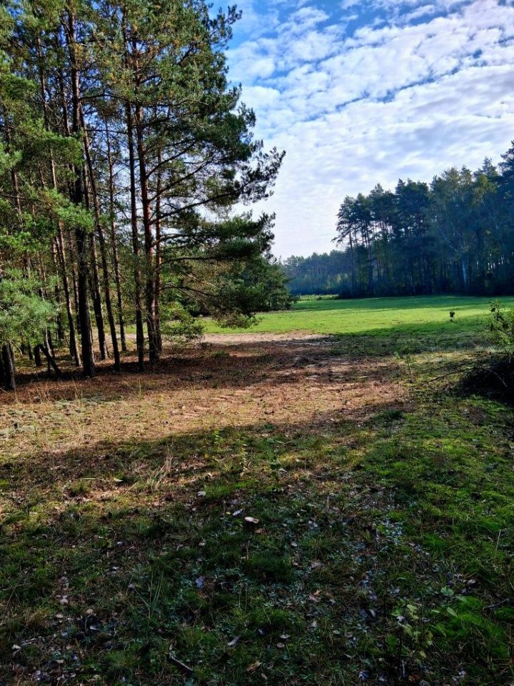 Działka siedliskowa Krusza. Zdjęcie 6