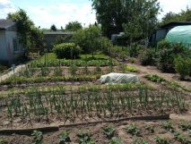 Działka rod Gorzów Wielkopolski. Zdjęcie 4