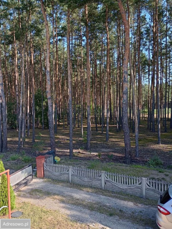 dom letniskowy, 1 pokój Tarnów Jezierny, ul. Leśna. Zdjęcie 7