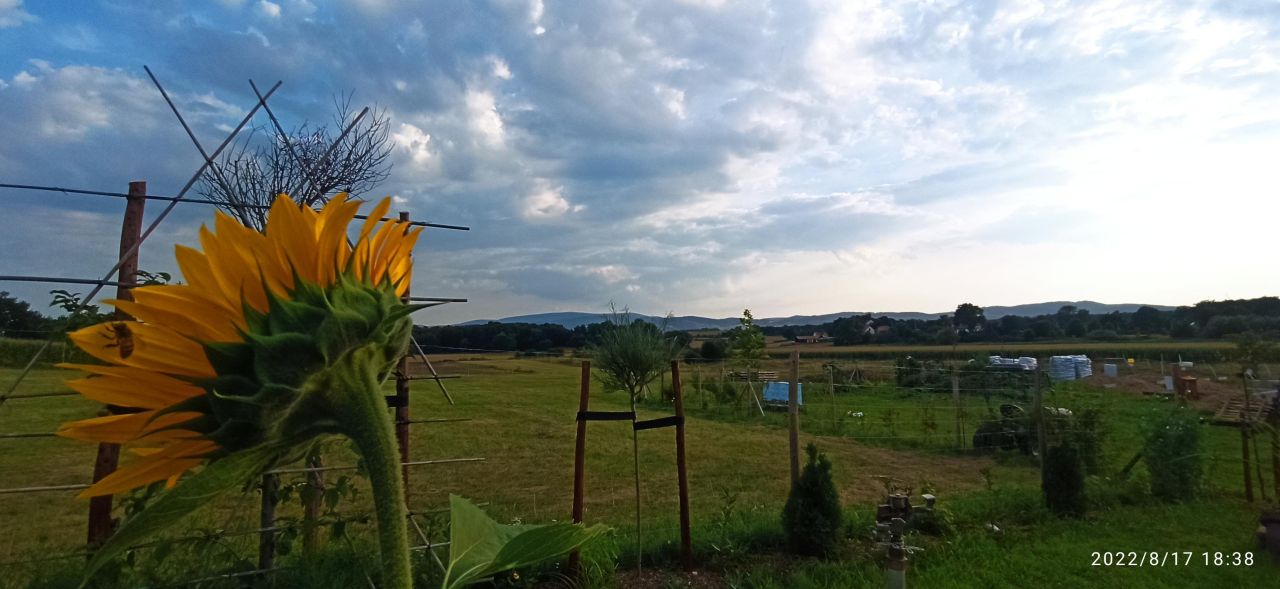 Działka siedliskowa Grodziszcze. Zdjęcie 19