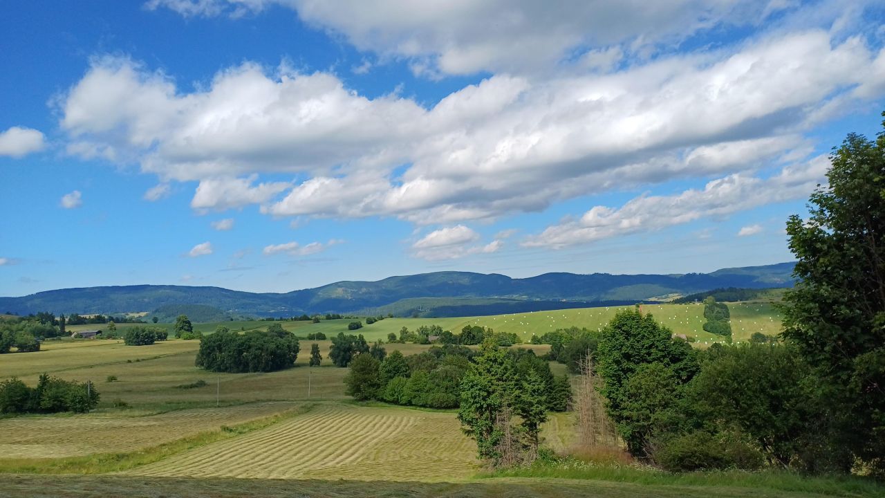 Działka rolna Krajanów. Zdjęcie 2