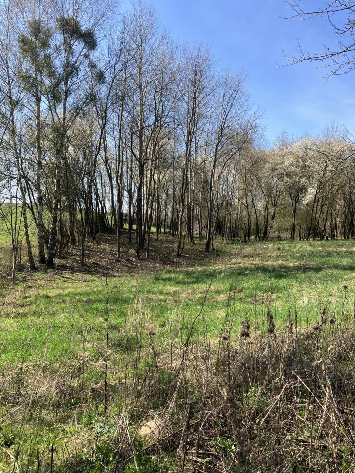 Działka rekreacyjna Jedwabno, ul. Modrzewiowa. Zdjęcie 2