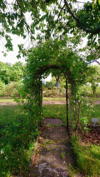 Działka rod Gdańsk Oliwa. Zdjęcie 6