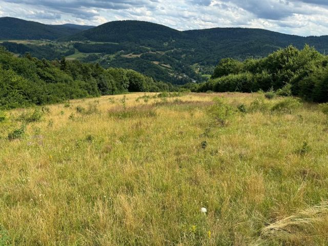 Działka rolna Szymbark. Zdjęcie 1