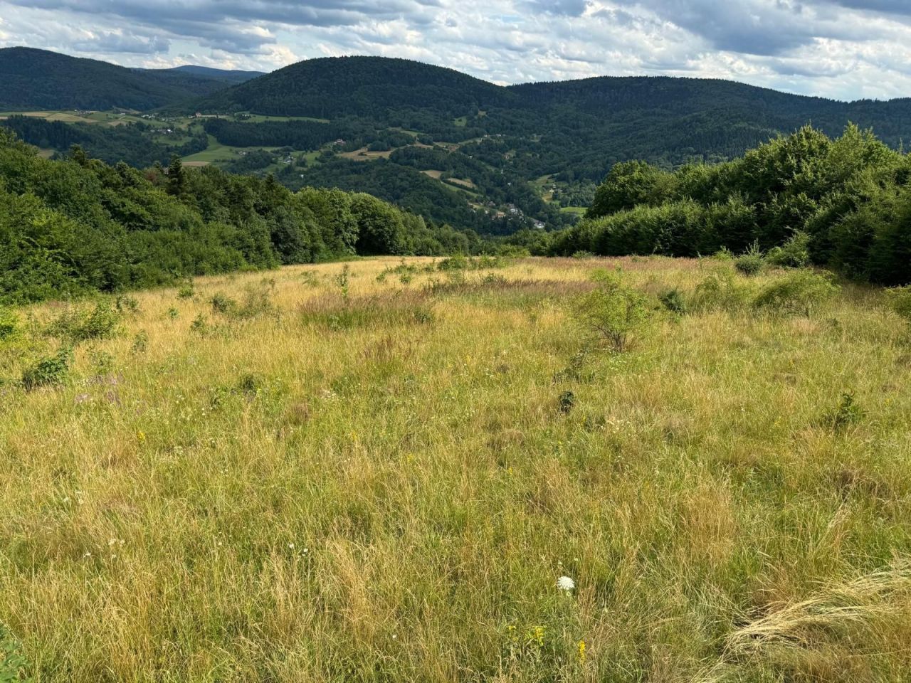 Działka rolna Szymbark