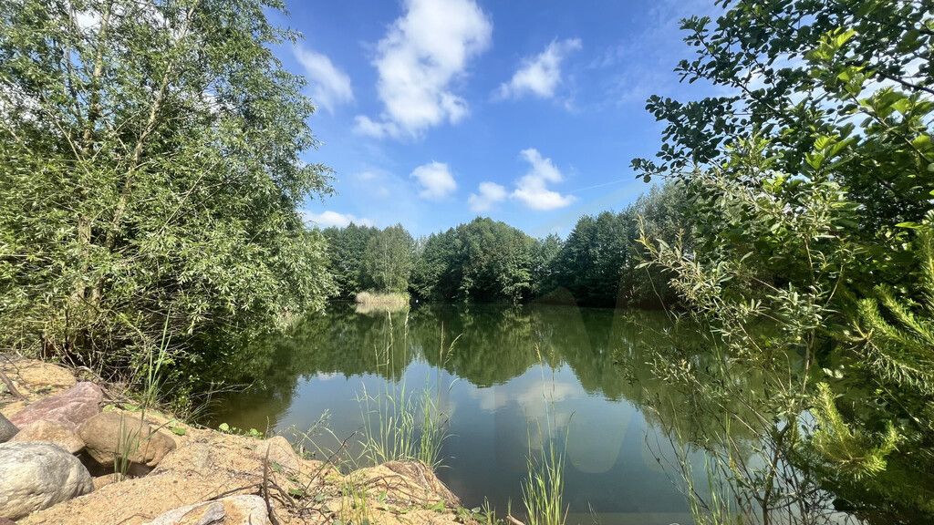 Działka rekreacyjna Osieczna. Zdjęcie 17