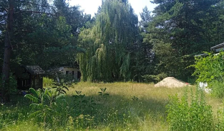 dom wolnostojący Bojmie