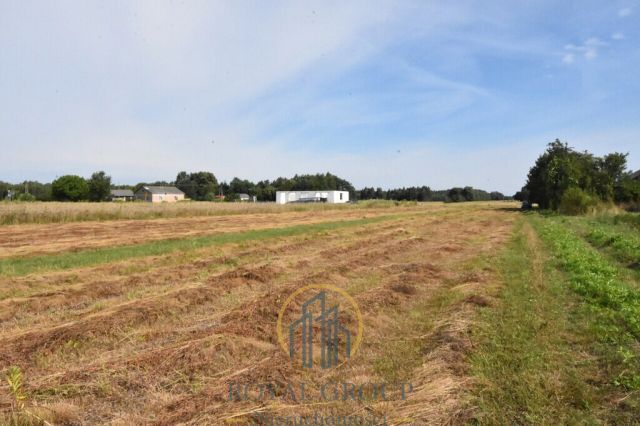 Działka siedliskowa Siedliska. Zdjęcie 3