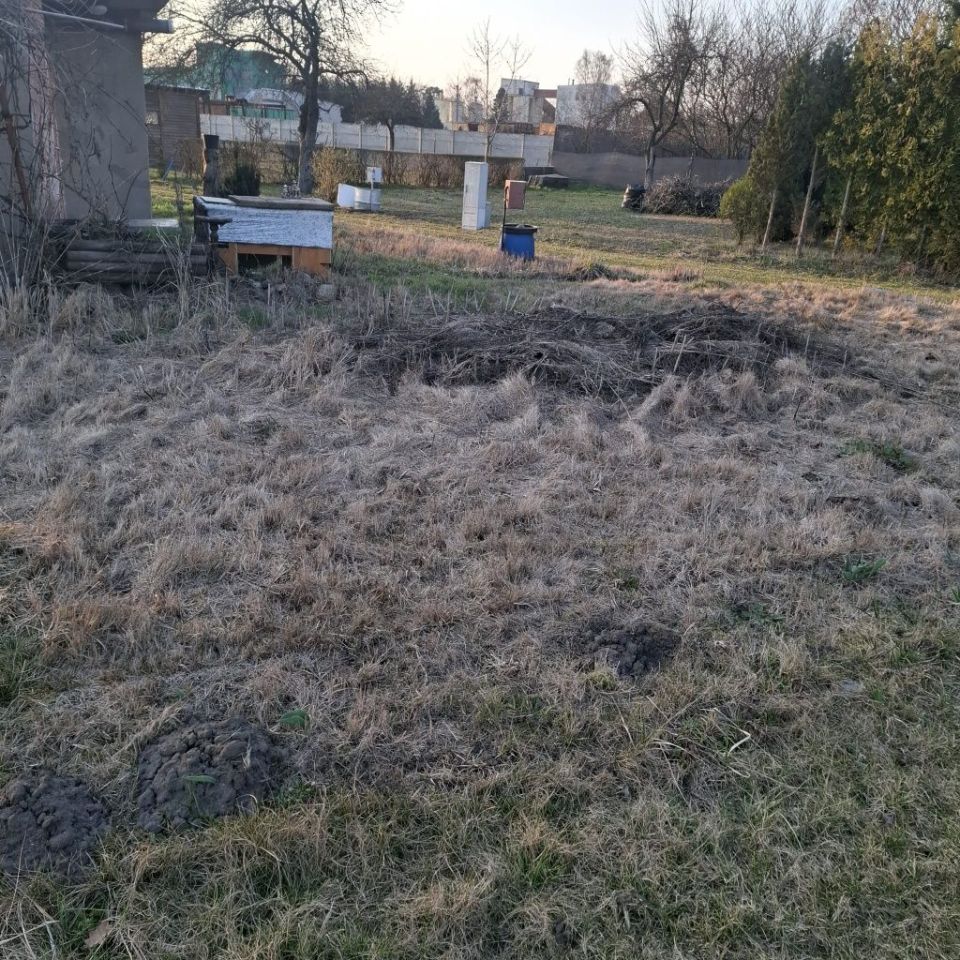 Działka rod Powodowo. Zdjęcie 5