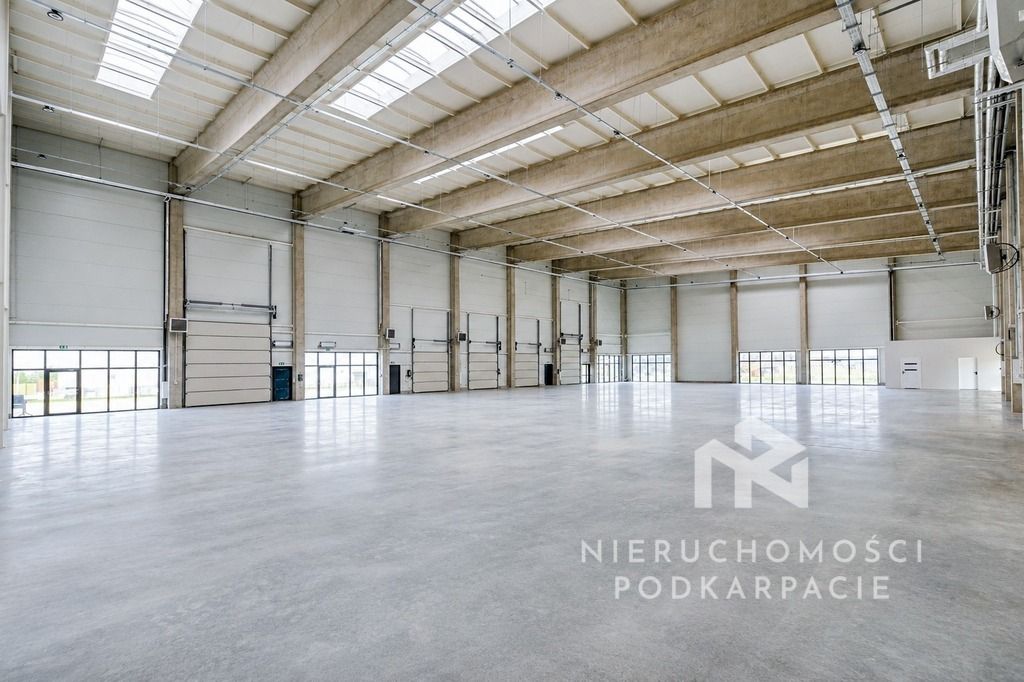 Hala/magazyn Rzeszów Dworzysko, ul. Biznesowa. Zdjęcie 30
