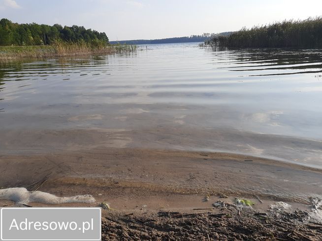Działka rolno-budowlana Taczki. Zdjęcie 3