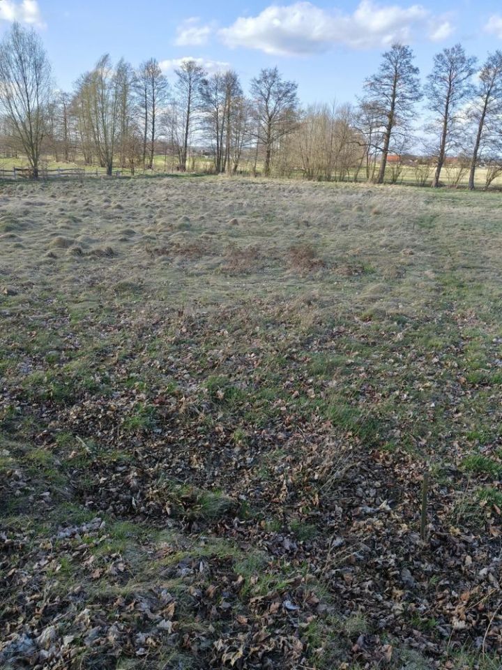 Działka budowlana Niegosław. Zdjęcie 4