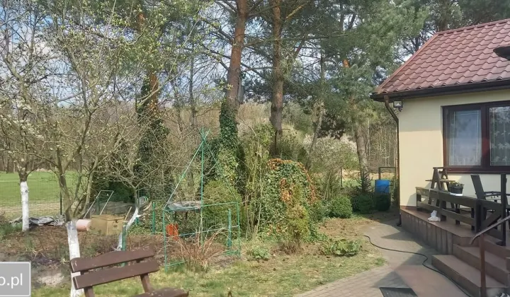 dom wolnostojący, 2 pokoje Borek, brzo