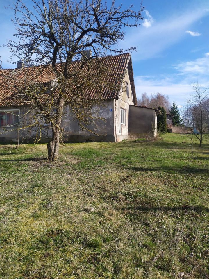 siedlisko Krzywińskie. Zdjęcie 3