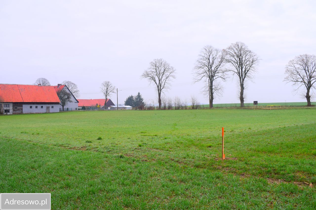 Działka budowlana Kursko. Zdjęcie 4