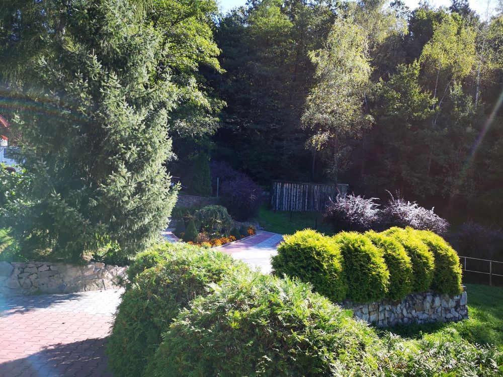 Lokal Chojnik. Zdjęcie 14