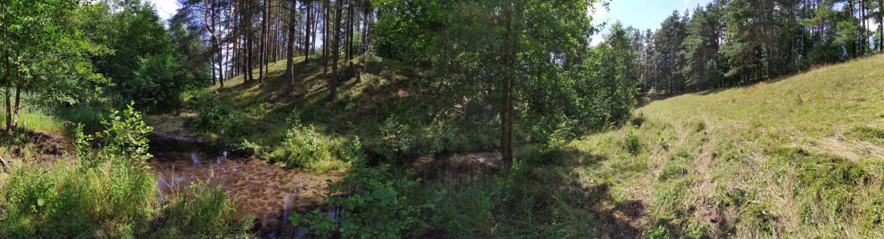 Działka siedliskowa Nowa Przerośl. Zdjęcie 6