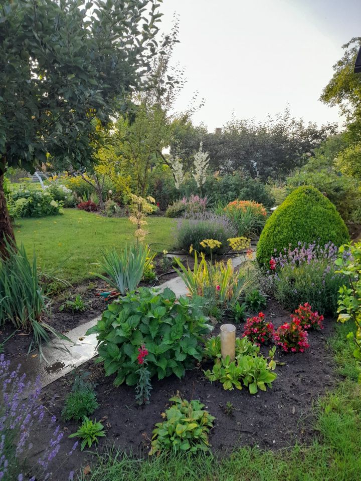 Działka rod Lubin Przylesie, ul. Józefa Piłsudskiego. Zdjęcie 3