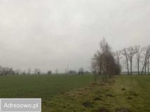 Działka budowlana Dzierawy. Zdjęcie 2