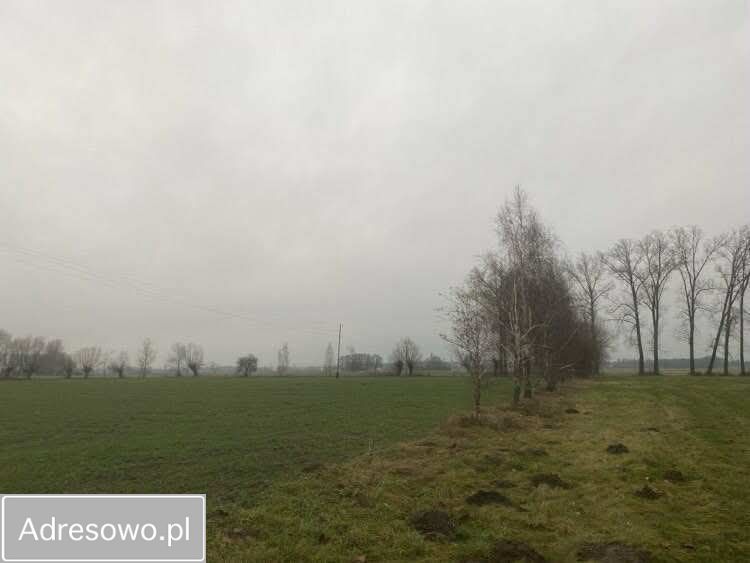 Działka budowlana Dzierawy. Zdjęcie 3