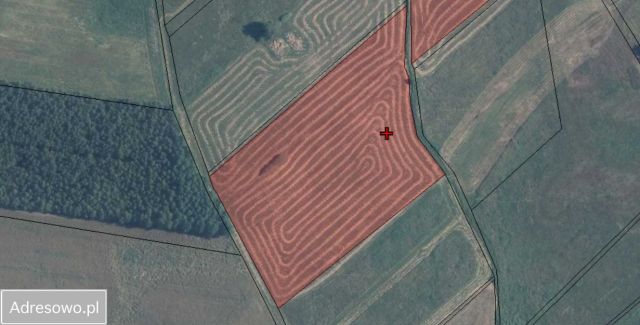 Działka rolna Kozin. Zdjęcie 1