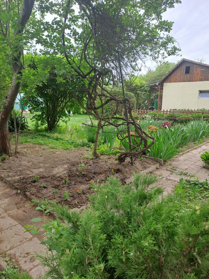 Działka rod Lublin, ul. Zawilcowa. Zdjęcie 2