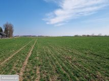 Działka rolna Lipniak. Zdjęcie 1