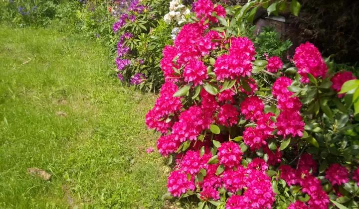 Działka budowlana Życiny