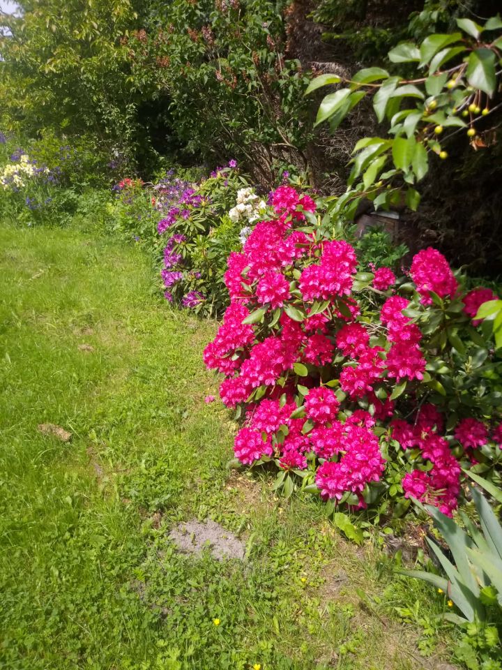 Działka budowlana Życiny. Zdjęcie 1