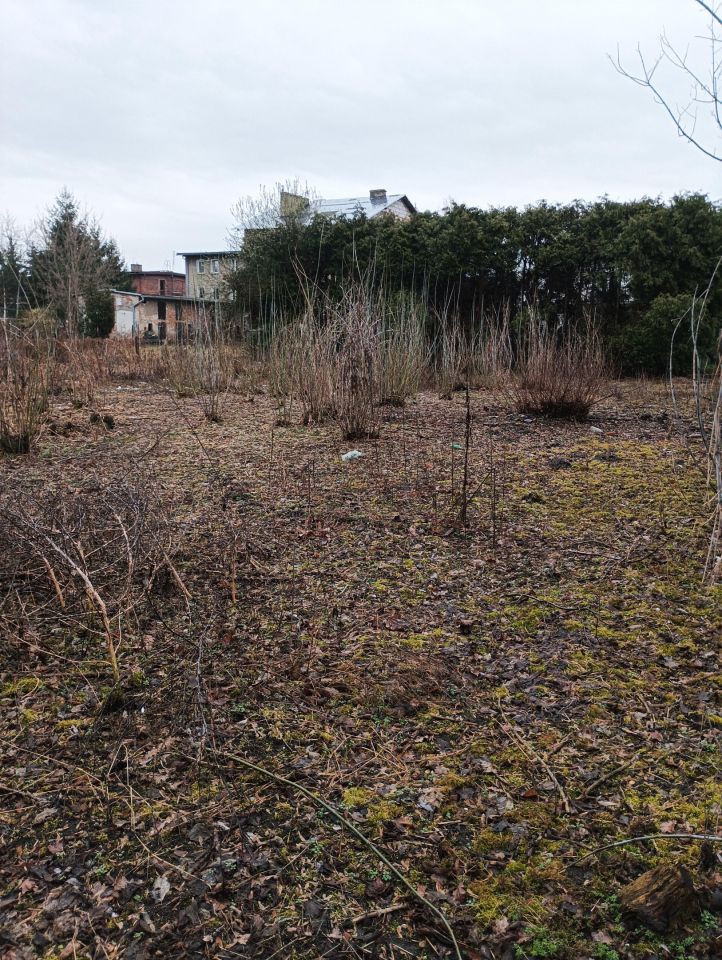 Nieruchomość komercyjna Wrocław Zakrzów, ul. gen. Leopolda Okulickiego. Zdjęcie 2