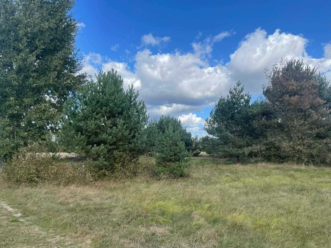 Działka budowlana Wólka Mlęcka. Zdjęcie 4