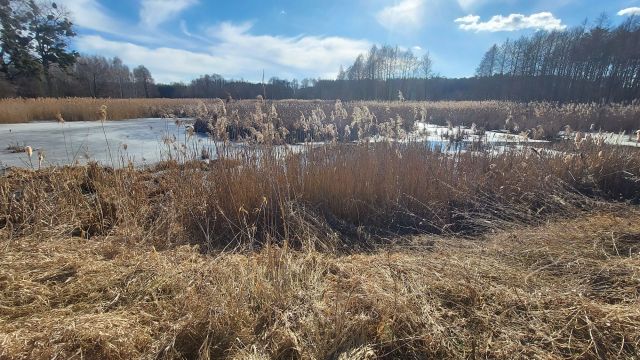 Działka rolno-budowlana Motoga. Zdjęcie 1